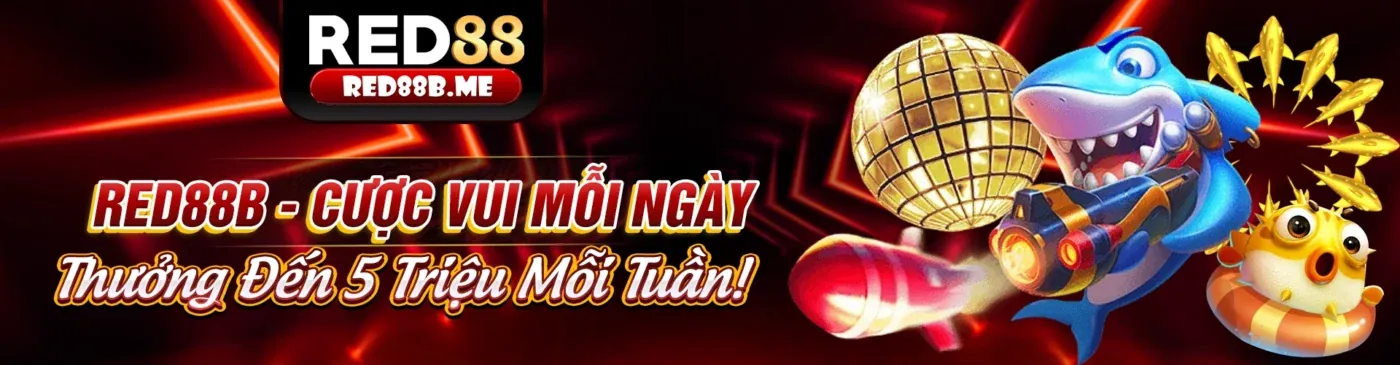 Thế giới bắn cá sống động tại okchoi trang chủ chính thức